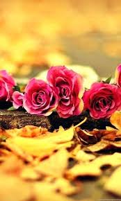 simages | goodthoughtsgoodlives