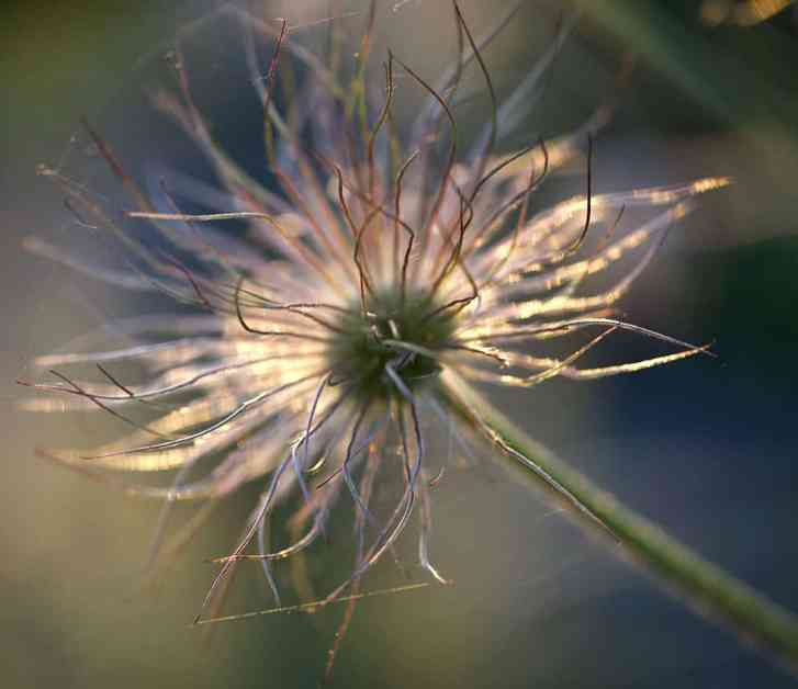 prayer inspirationalencouragement | goodthoughtsgoodlives