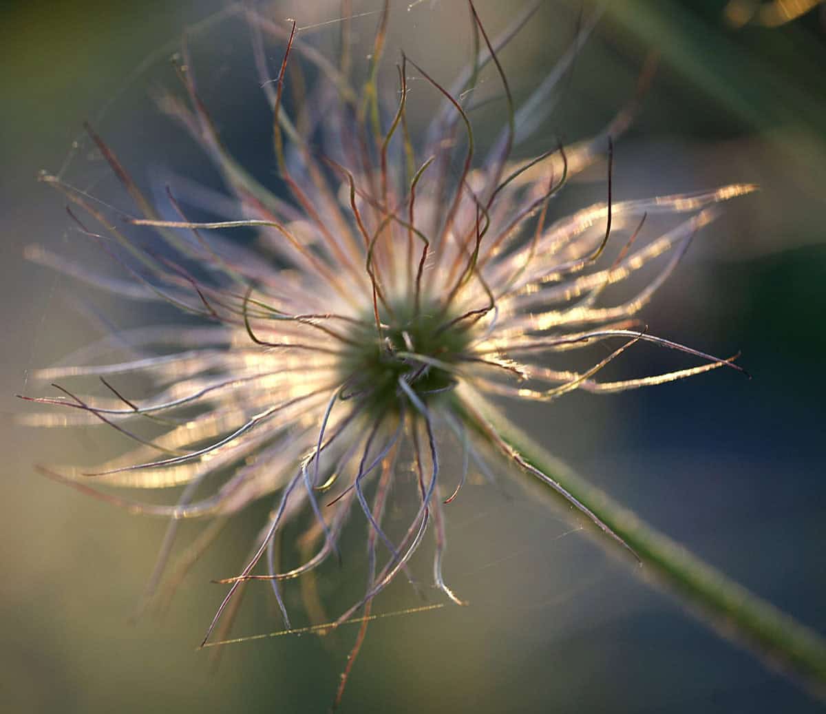 prayer inspirationalencouragement | goodthoughtsgoodlives