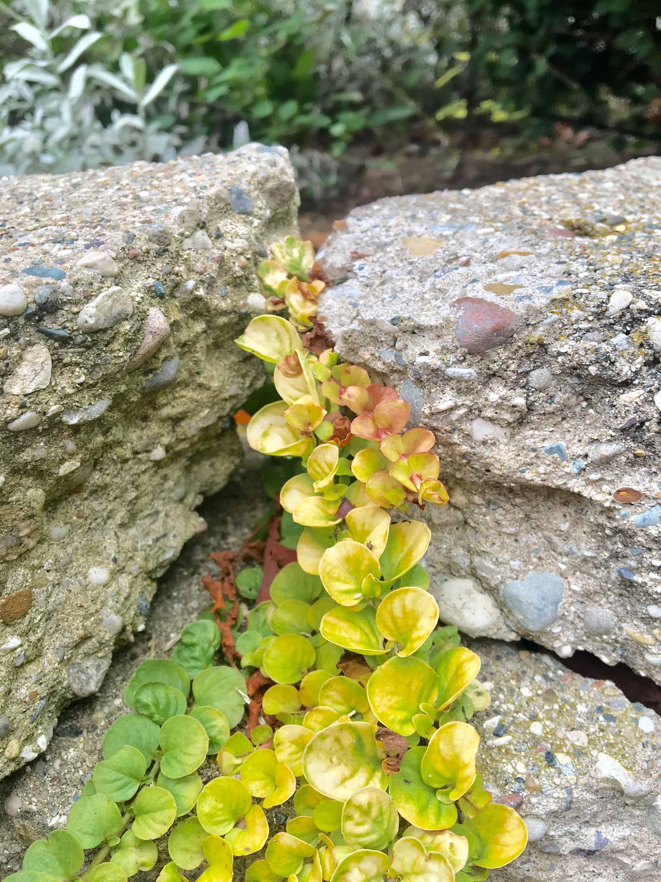 inspiratonal/encouragment | goodthoughtsgoodlives