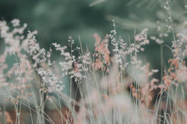 prayer and change | goodthoughtsgoodlives