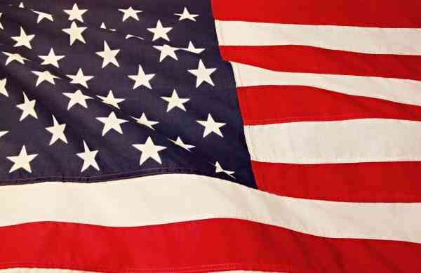 flag of america/voting 2020