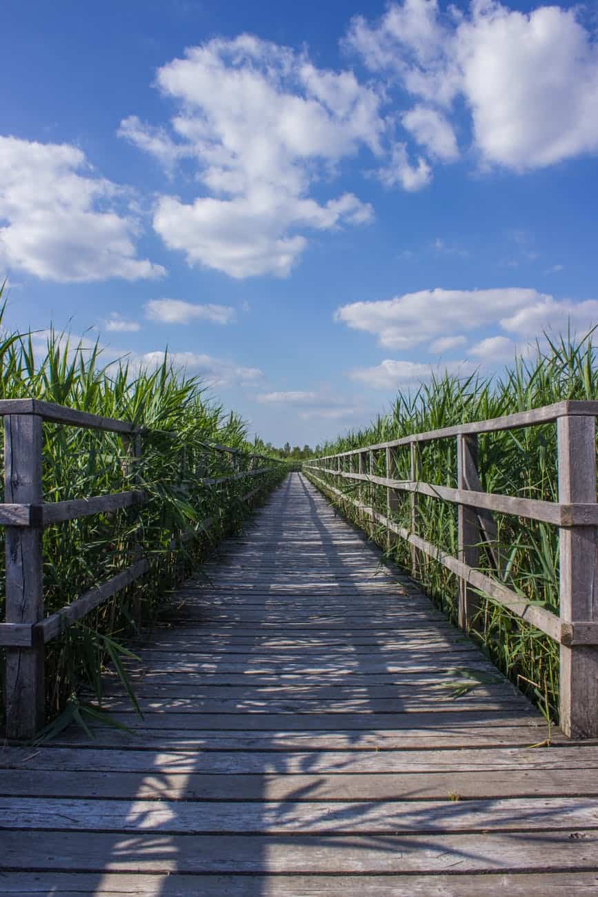 boardwalk bridge cloud clouds
