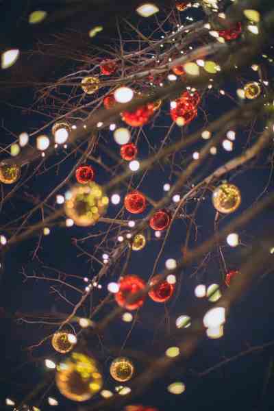 bare tree with glossy christmas toys and lights against dark sky