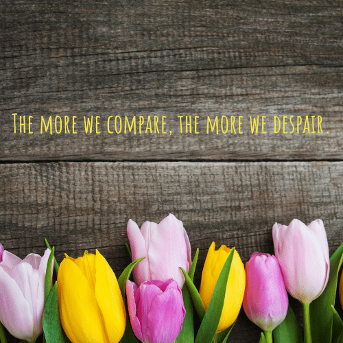 picture of tulips/one reason why life can be hard 