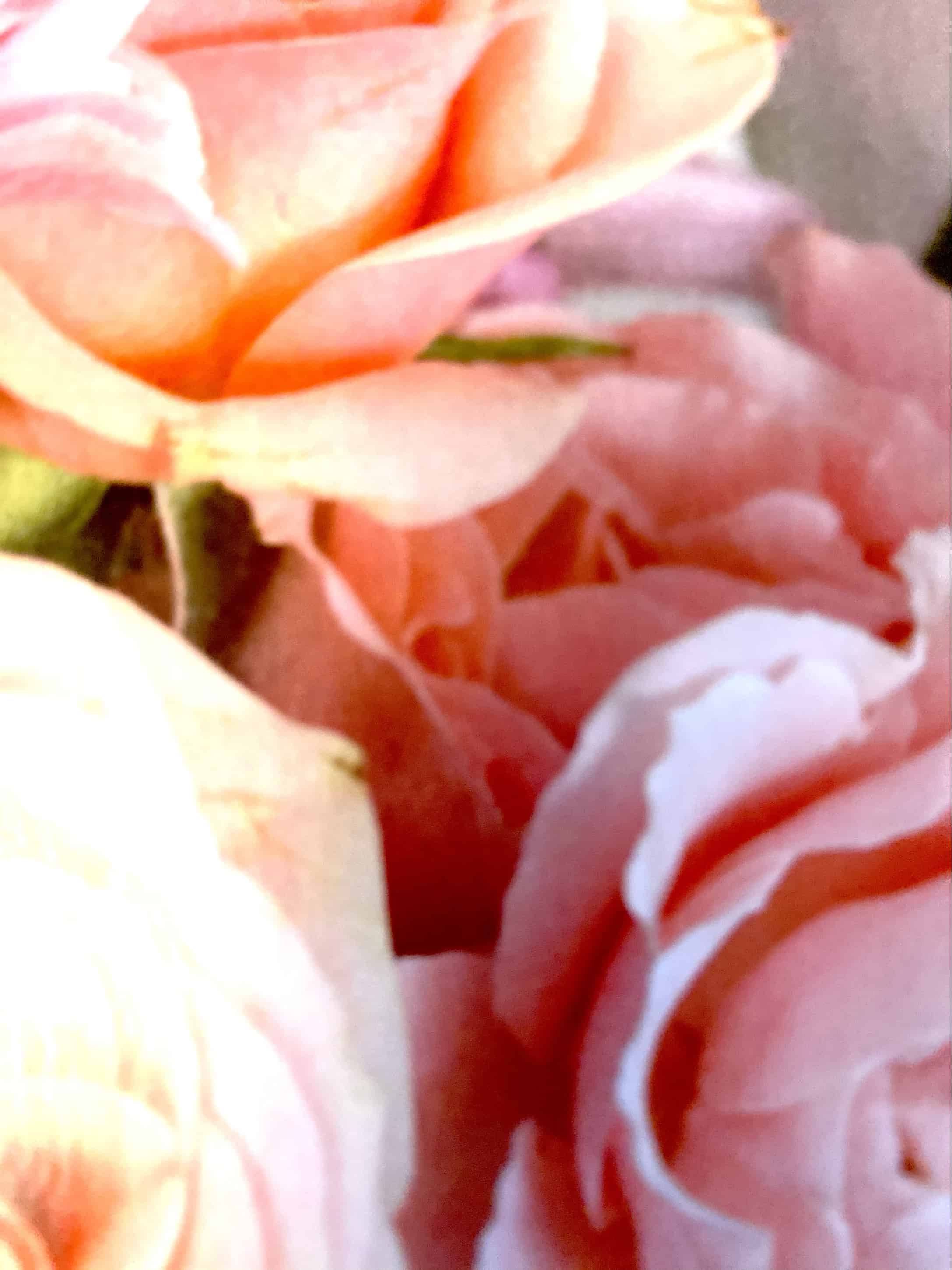 flowers/why pray if God already knows