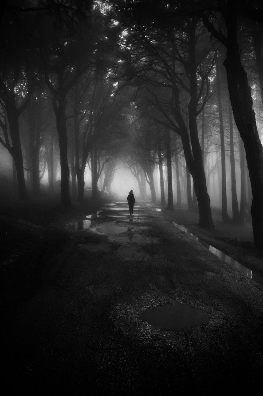greyscale photography of person walking between trees/family losses