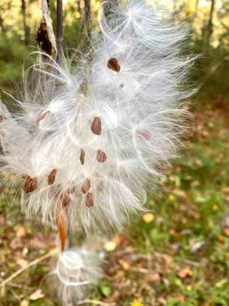 picture of nature/inspirational