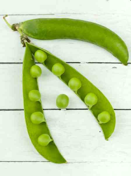 peas in a pod/prayer and thinking