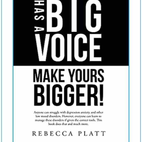 copy of book/guilt-free joy