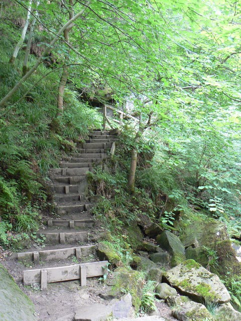 steps leading up/stepping away