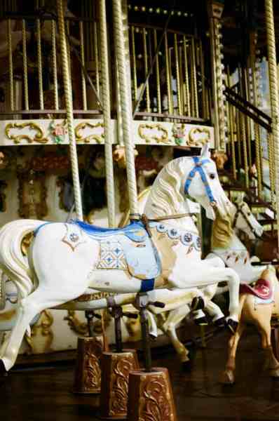 pexels-photo-5507223 | goodthoughtsgoodlives white and brown horse carousel
