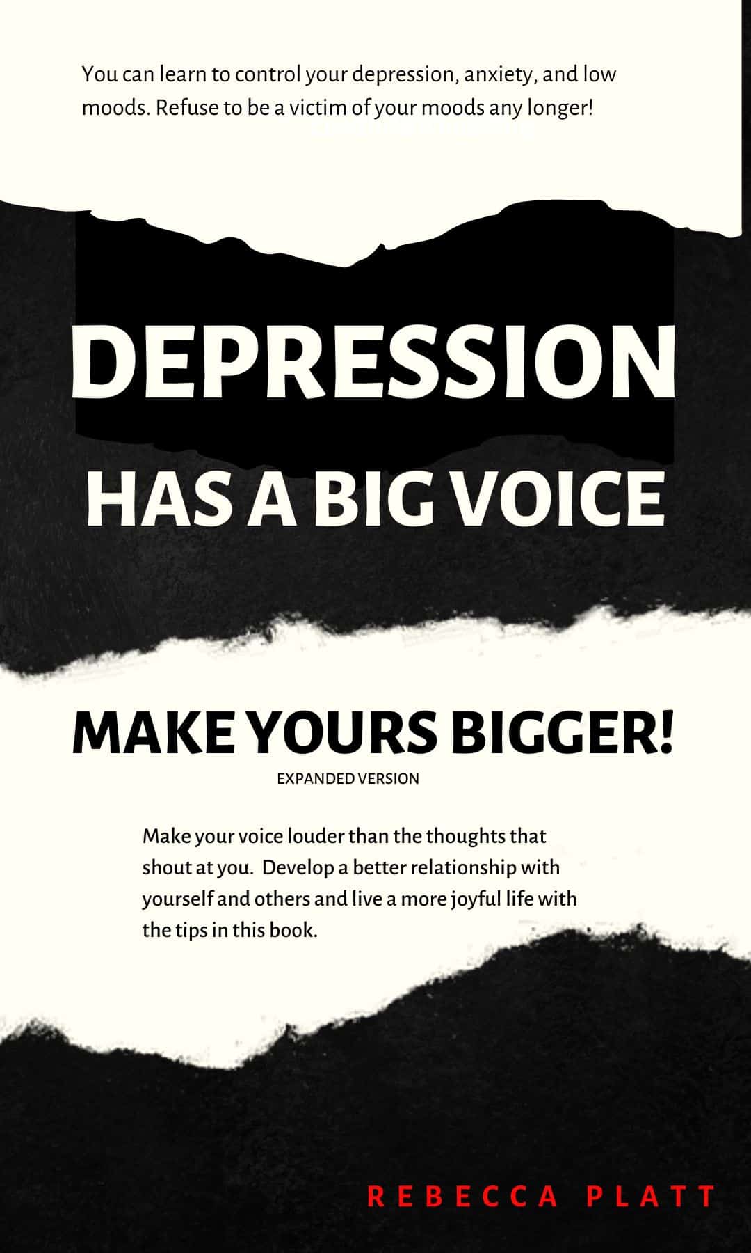 NEWEST-COPY-BOOK-COVER | goodthoughtsgoodlives image of a book/no shame in depression