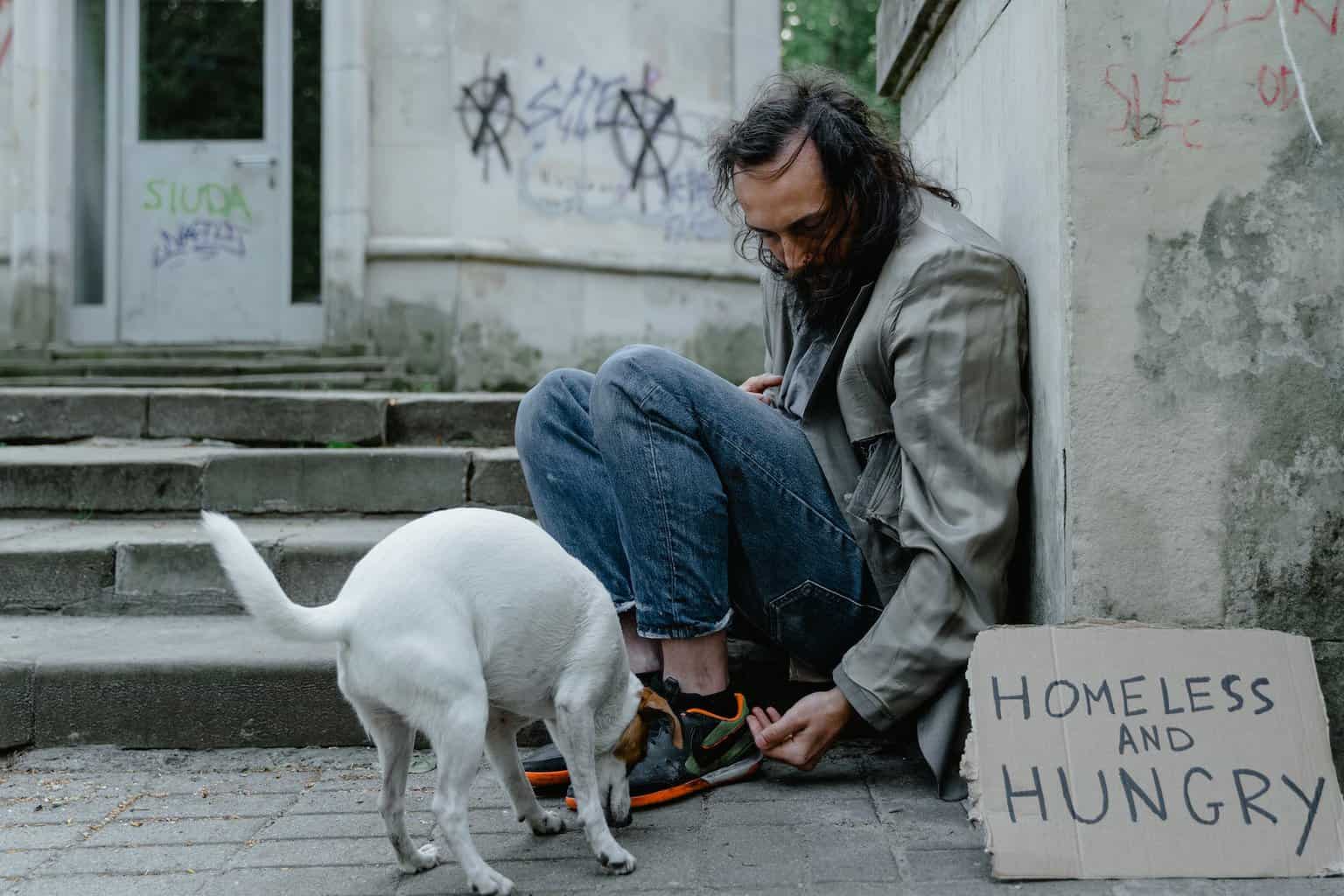 man in blue denim jeans sitting beside white short coat dog/homelessness