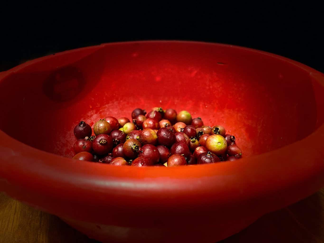 pexels-photo-6897640 | goodthoughtsgoodlives red round fruit on red ceramic bowl/lesson learned