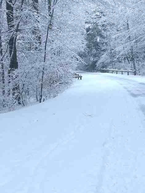 wintry woods/time for ourselves