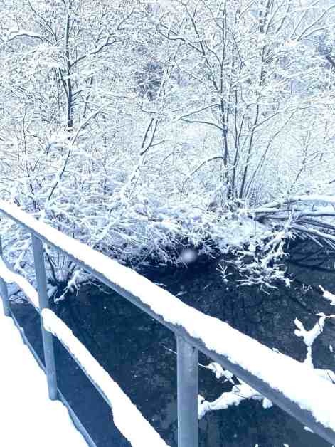 wintry woods/time for ourselves