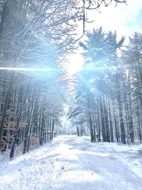 wintry woods/time for ourselves