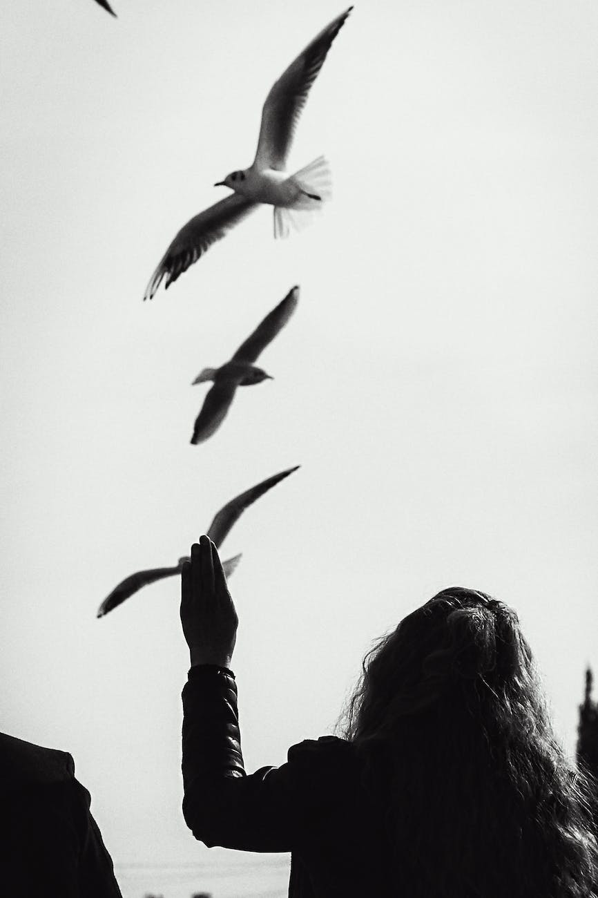 silhouette of woman and flying birds/releasing prayers