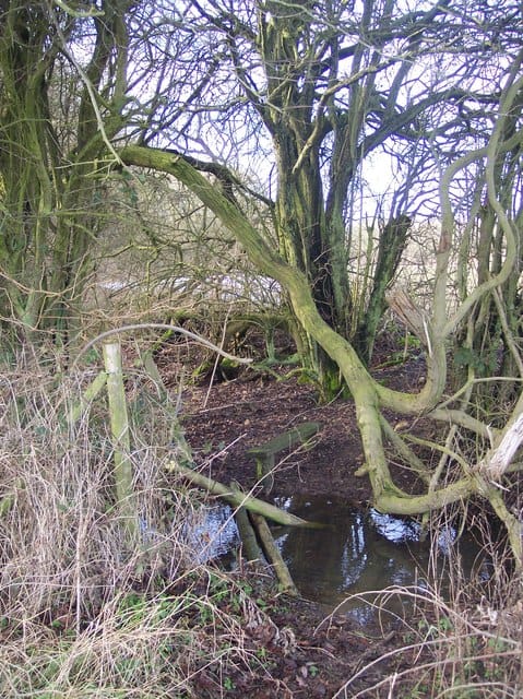 Broken Stile near Cupids Coppice