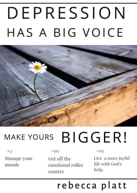 a book cover/book covers