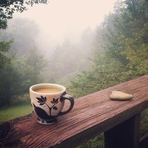 peaceful scene/Studying the Bible 