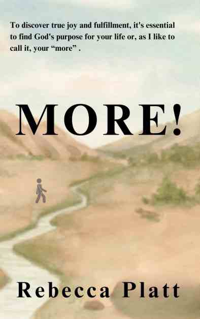 book cover title "MORE!"/expectation