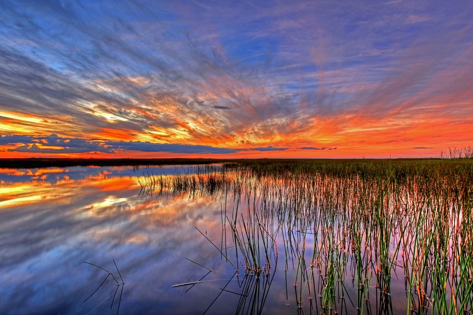 A vibrant sunset over a calm lake with a reflection of the sky and clouds, and reeds in the foreground.