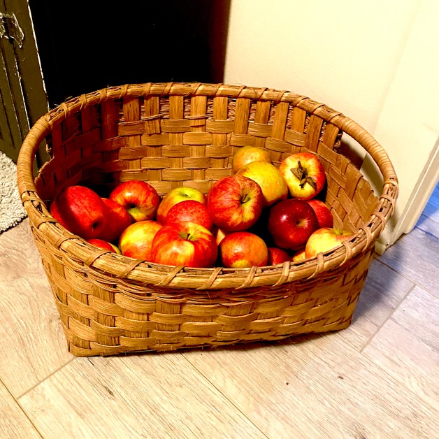 apples in old basket/junking