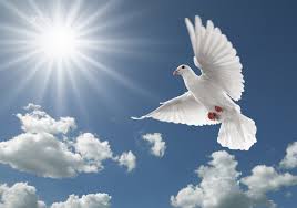 the Holy Spirit shown as  a white dove