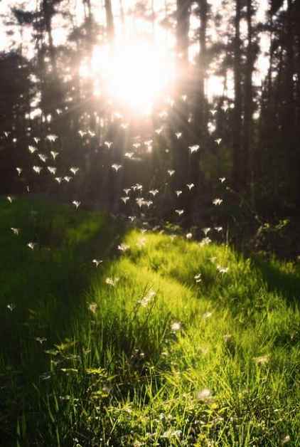 beautiful scene/change