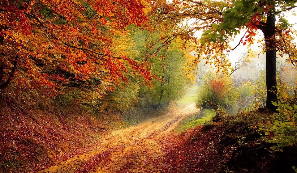 road-1072823_960_720 | goodthoughtsgoodlives