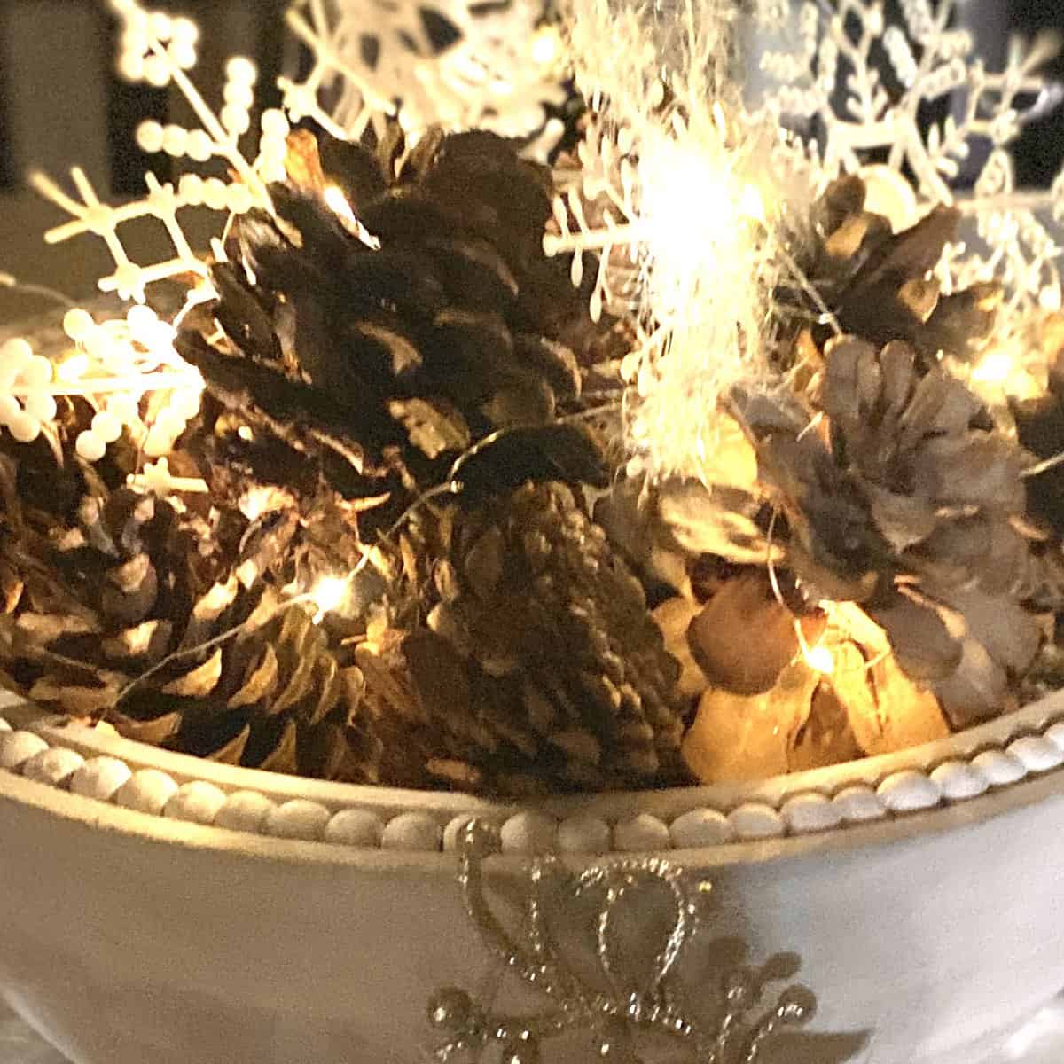 IMG_2309 | goodthoughtsgoodlives