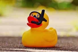 rubber ducky | goodthoughtsgoodlives circumstances