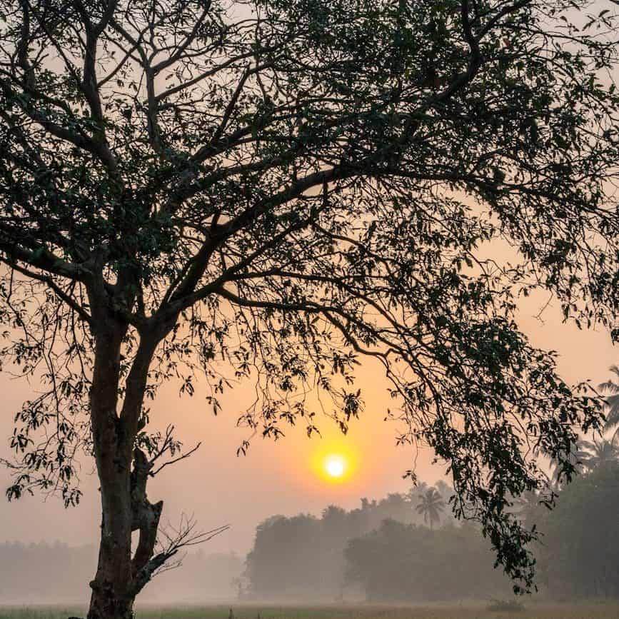 serene sunrise in rural countryside field/grace in the wilderness