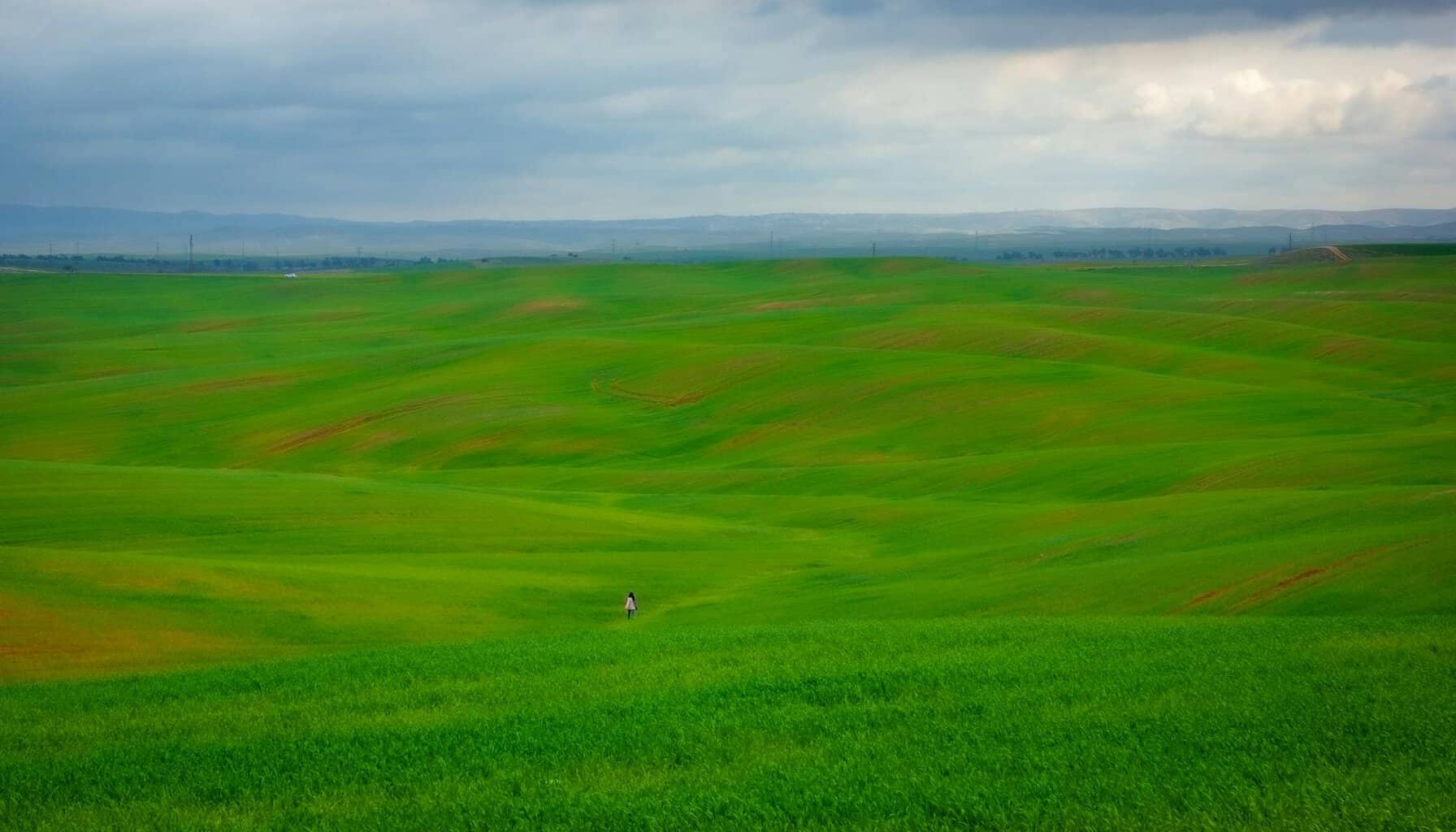green grass field under cloudy sky/pray