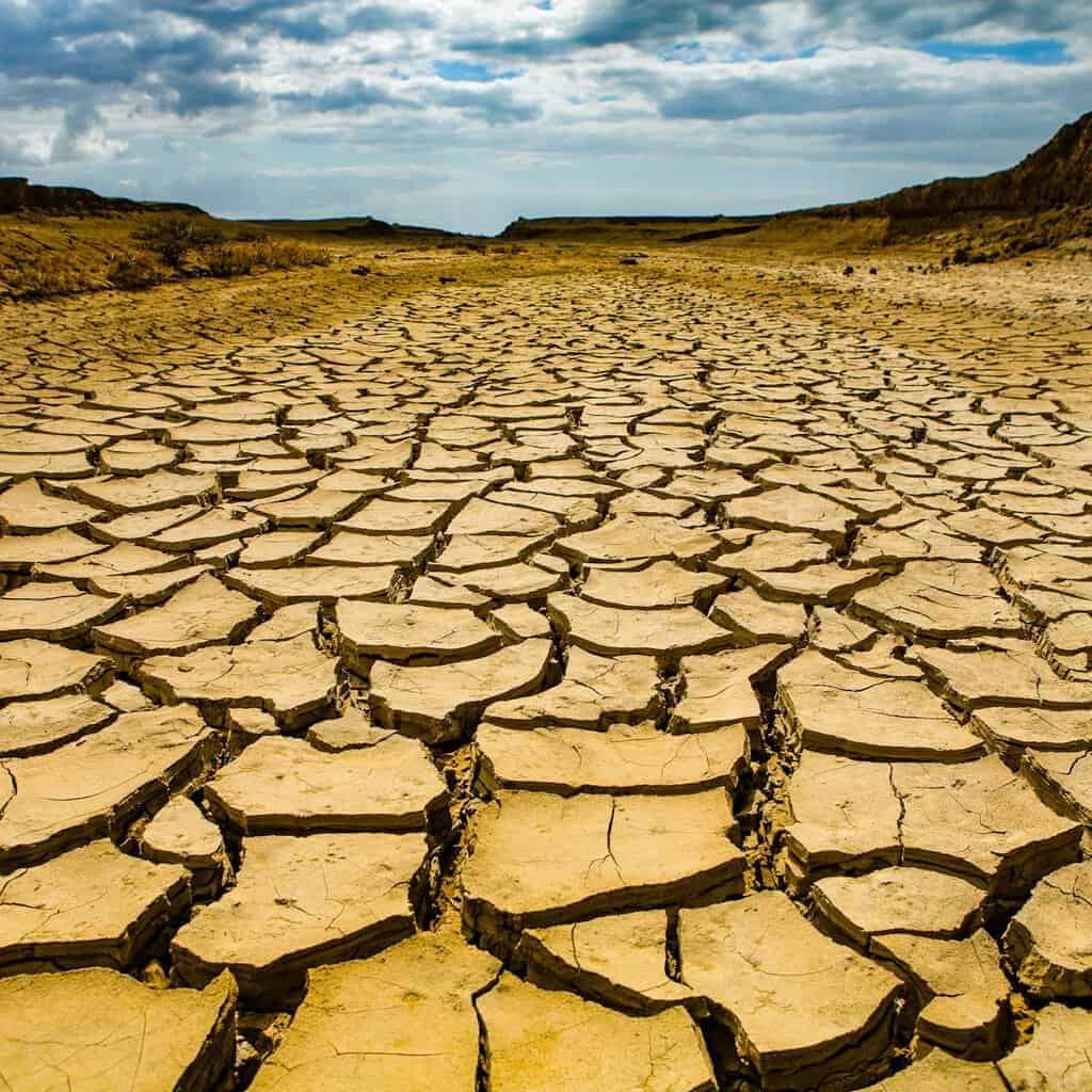 cracked earth/fearless