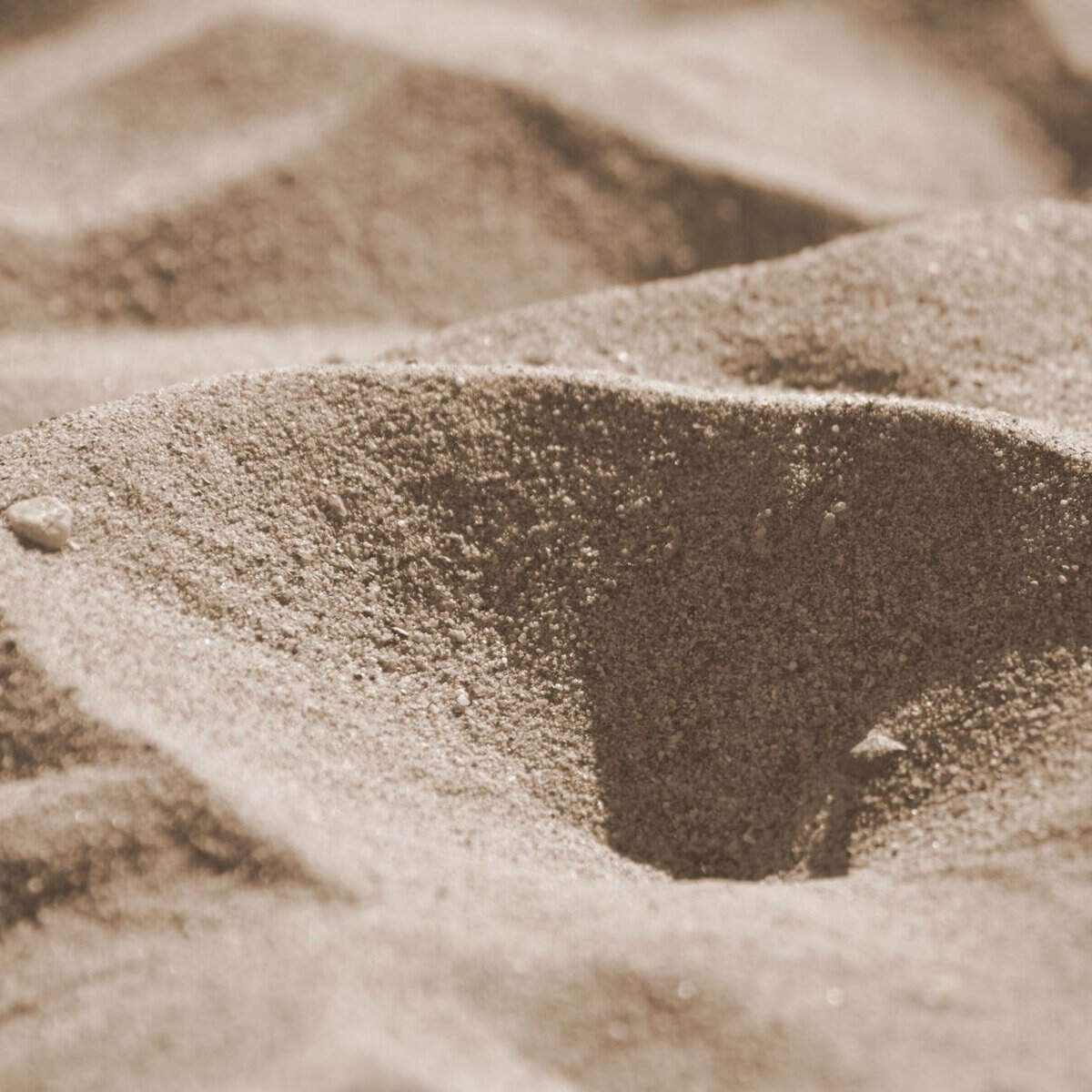 texture of sand/trials