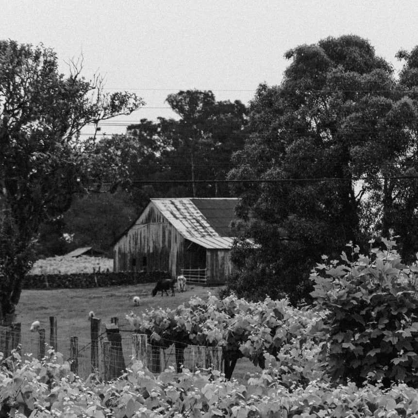 wooden house with trees and flowers in countryside